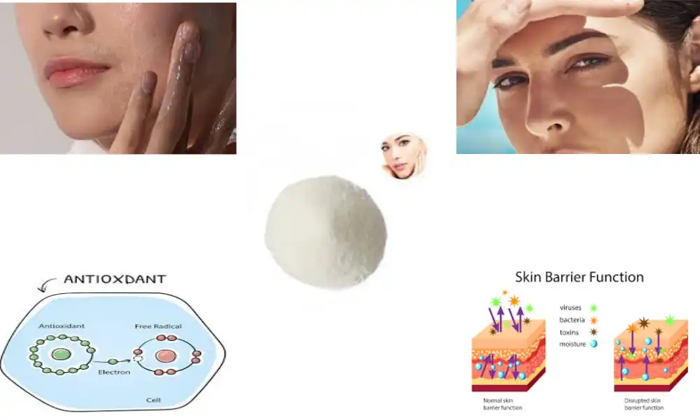 Is ergothioneine safe for skin?